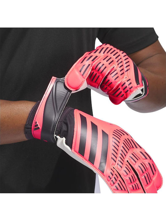 adidas Predator Mănuși portar Adulți Roz
