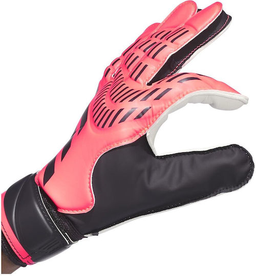 adidas Predator Голмански ръкавици за Възрастни Розов