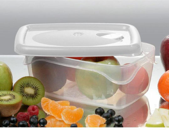 Bama Transparent Lunch Box 2lt