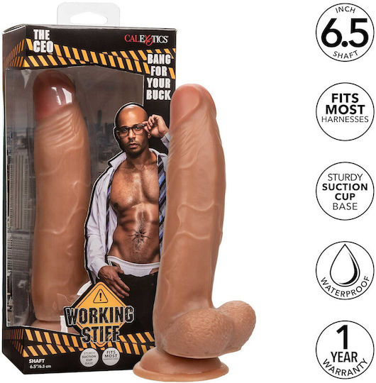 Calexotics Glass Dildo with Balls and Suction Cup Brown 21.5cm