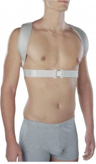 Ortholand Dorsolite Back Splint