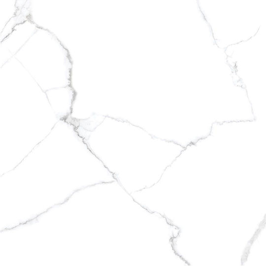 Panthermica Placă Perete Interior Mat 120x120cm Alb