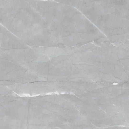 Panthermica Floor / Wall Interior Matte Tile 240x80cm Grey
