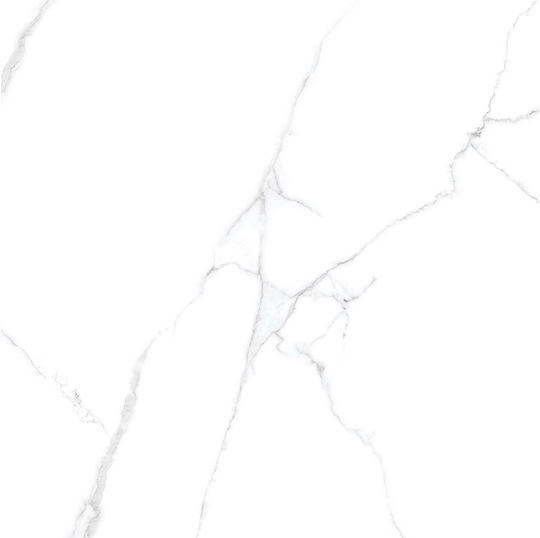 Panthermica Fliese Boden / Wand Innenbereich 160x120cm White