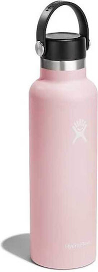 Hydro Flask Standard Flex Cap Bottle Thermos Stainless Steel 621ml Pink Purple