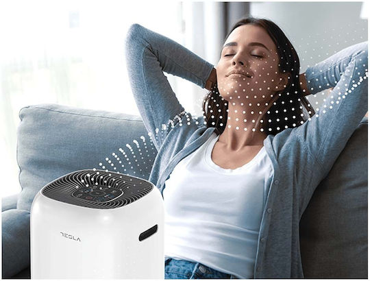 Tesla Air6 Max Luftreiniger 42W für Räume 48m²