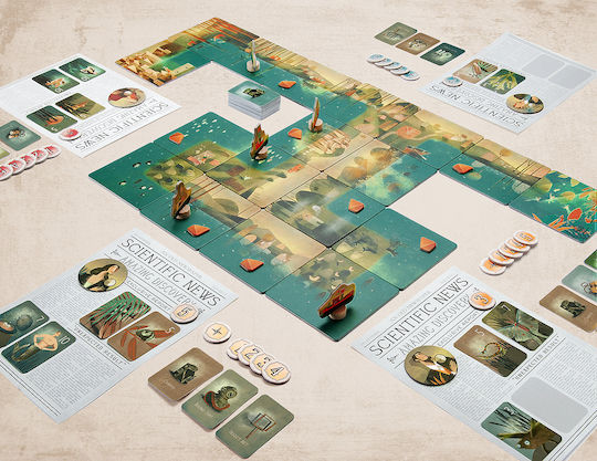Board Game River for 2-4 Players 6+ Years Old 15-RIVER (EN)