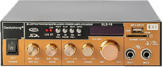 Karaoke Amplifier GLS-16 Gold