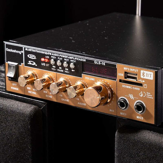 Karaoke Amplifier GLS-16 Gold