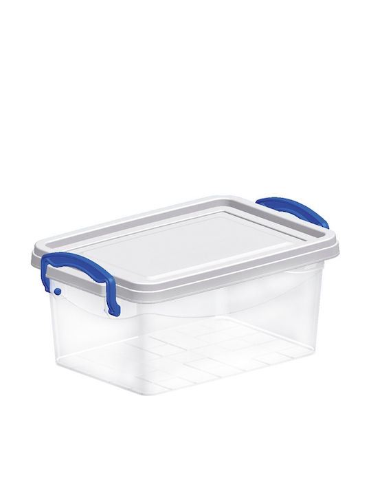 Viosarp Plastic Storage box with Cap Transparent 37x25x15cm 1pcs