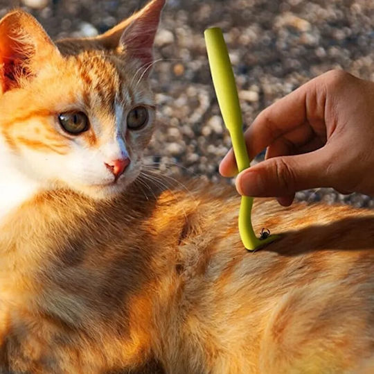 Pinzette Für Die Zeckenentfernung Hund & Katze Grün 3Stücke