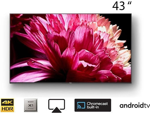 Sony FW-43EZ20L Public Display LCD IPS 4K UHD 43" HDR