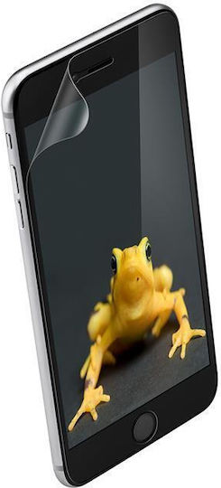 Screen Protector (iPhone 6 / 6S Plus)