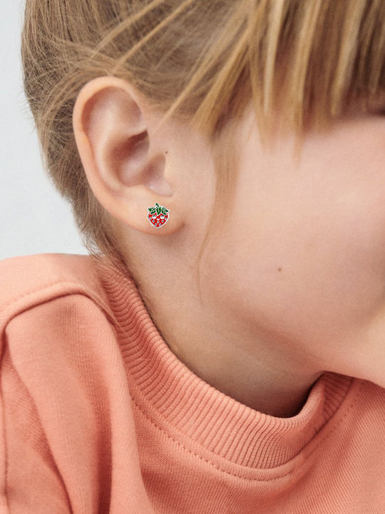 Cercei Fetite Hipoalergenici Studs Fructe Din Argint