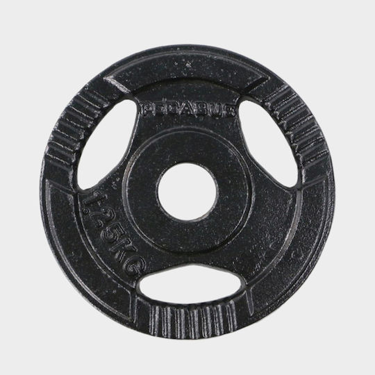 Pegasus Set of Plates Metal 1 x 1.25kg Ø29mm with Handles