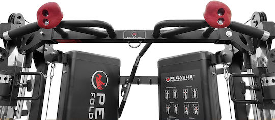 Pegasus Smith mit Gewichten 181kg (2x90.5kg)