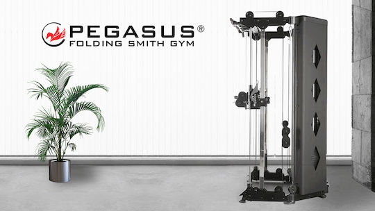 Pegasus Smith mit Gewichten 181kg (2x90.5kg)