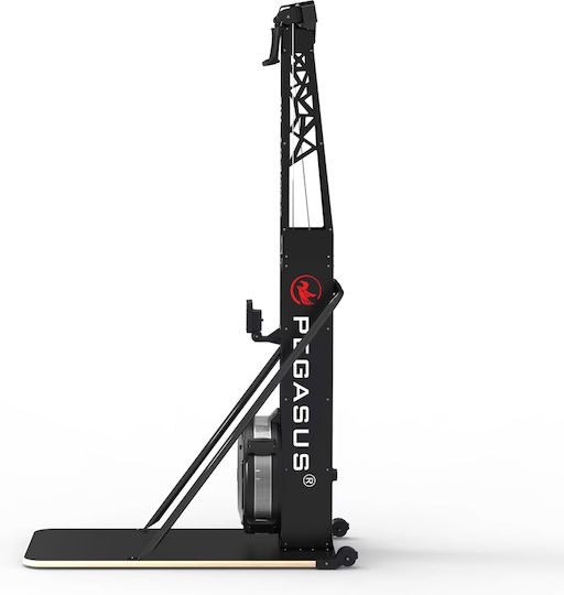 Pegasus Ski Trainer S3 Гребен Тренажор без Тежести