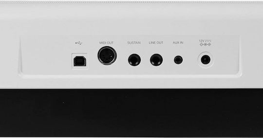 Medeli Electric Stage Piano SP201 with 88 Weighted Keys Built-in Speakers and Connection with Headphones and Computer White