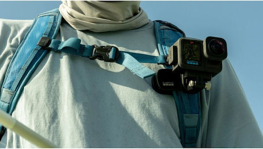 GoPro Magnetic AEMAG-001