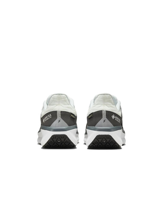 Winflo 11 GTX Men's Sport Shoes Running Waterproof with Gore-Tex Membrane Anthracite / Black / Photon Dust / Metallic Silver