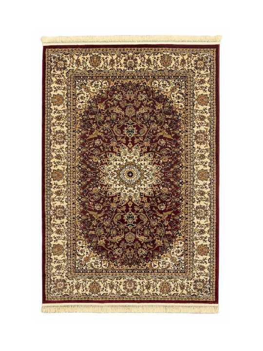 Newplan Persia 1019 Rug Rectangular with Fringes Burgundy