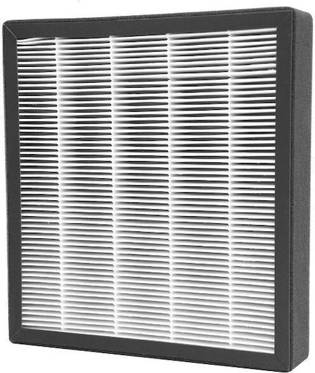 Combined Active Carbon Hepa Filter Airbi Refresh Bi3122 Purifier