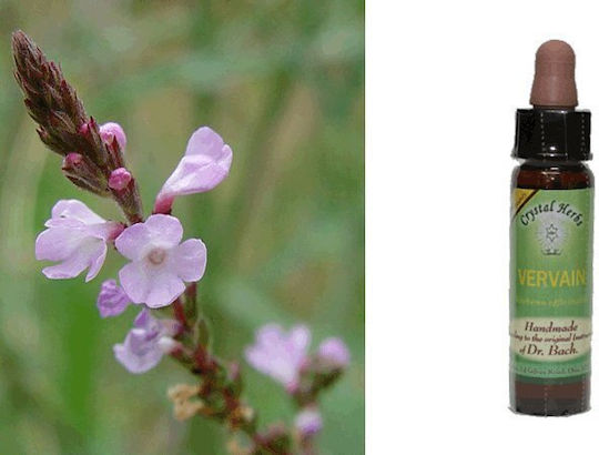 Crystal Herbs Σταυροβότανο (vervain) Flower Essence 10ml 1pcs