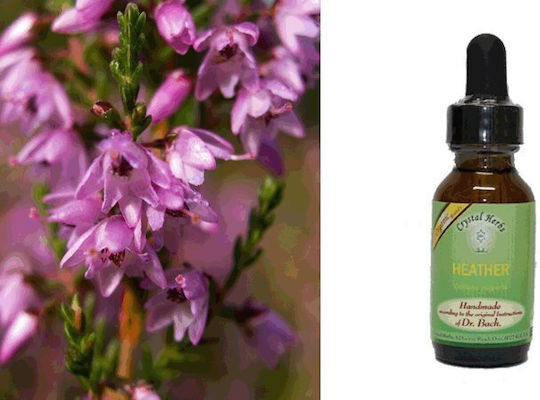 Crystal Herbs Ρείκι (heather) Blütenessenzen 25ml 1Stück