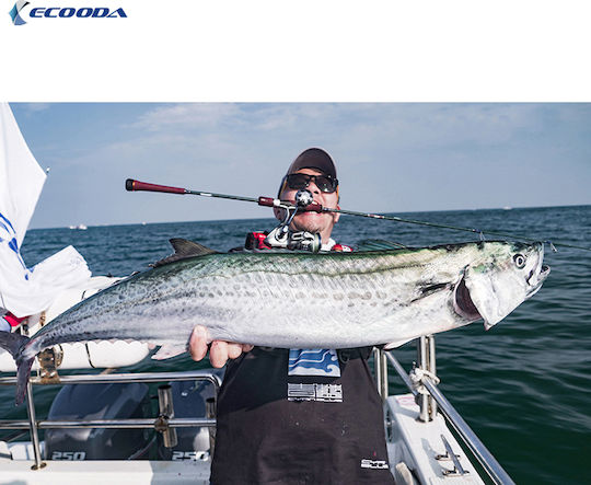 Ecooda 4000 Μηχανισμός Ψαρέματος για Spinning / Shore Jigging