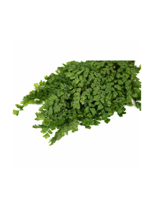 Букет от изкуствени цветя Fern Green 10см Selected by Pragmatic