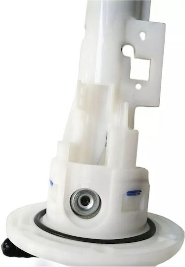 Complete Fuel Pump Sym Citycom 300cc/gts 250cc-300cc etc -lef Roc119916