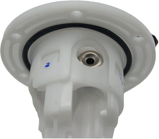 Complete Fuel Pump Sym Citycom 300cc/gts 250cc-300cc etc -lef Roc119916