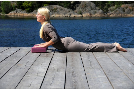 Sissel Yogablock in Rosa Farbe