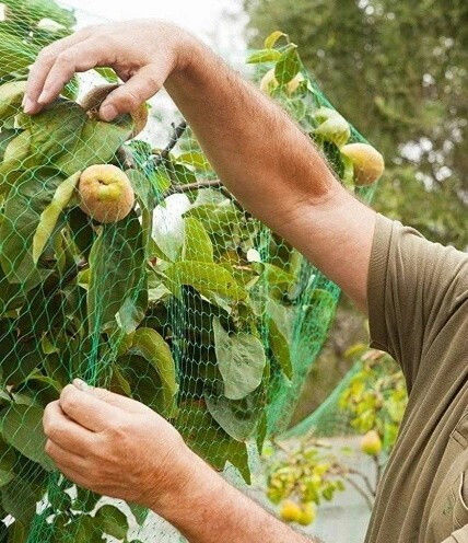 Plasă pentru păsări 4x5m din polietilenă verde