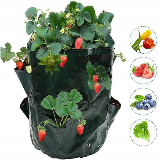 Pot Cascade Bag Vegetables Hanging Truscumbers Poodle Pockets