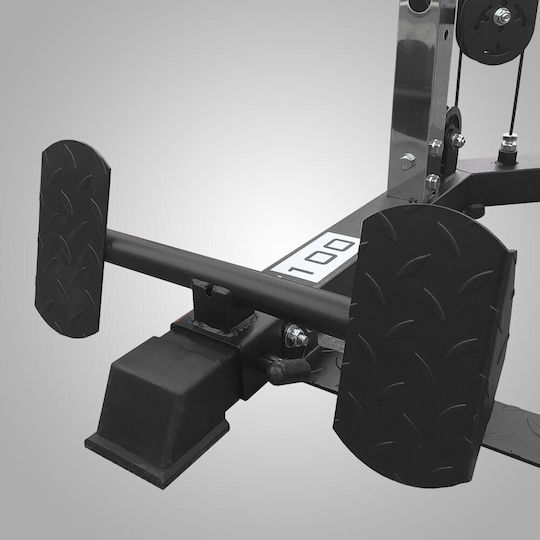 Pegasus Functional Trainer FT-100 Crossover/Πολυόργανο με Βάρη 60kg