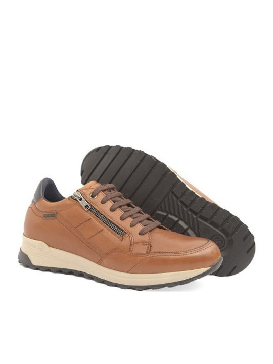 Anatomical Sneakers Tabac Brown
