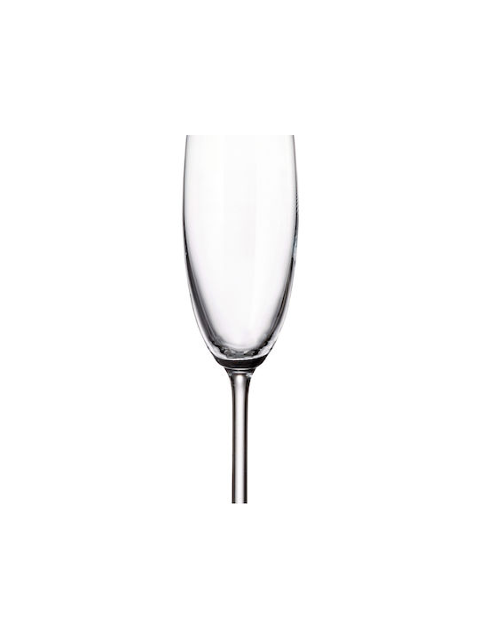 Bohemia Colibri Set of Glasses Champagne / White Wine made of Crystal Stemmed 220ml 6pcs