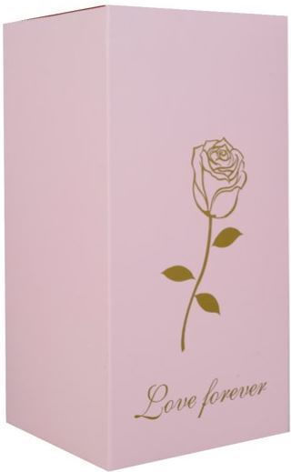 Φωτιστικό LED Θερμό Λευκό Forever Rose