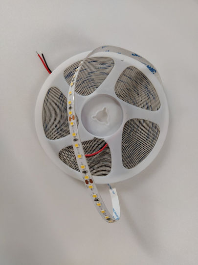 Home Lighting LED Лента 24V Неутрално бяло Светлина 10м