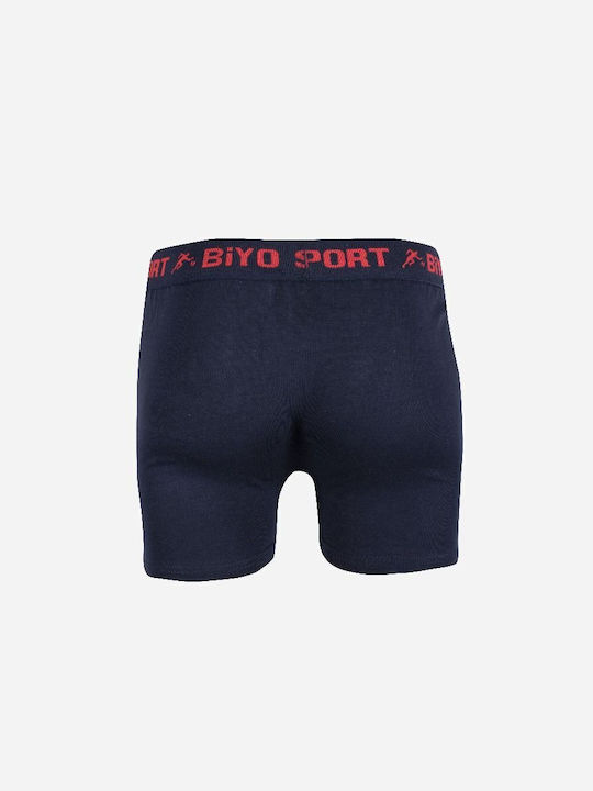 Biyo Biyo