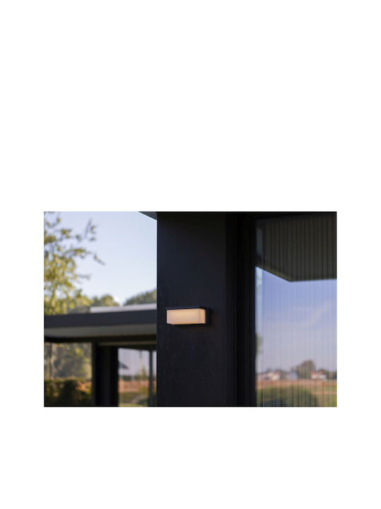 Lutec Wall-Mounted Outdoor Light