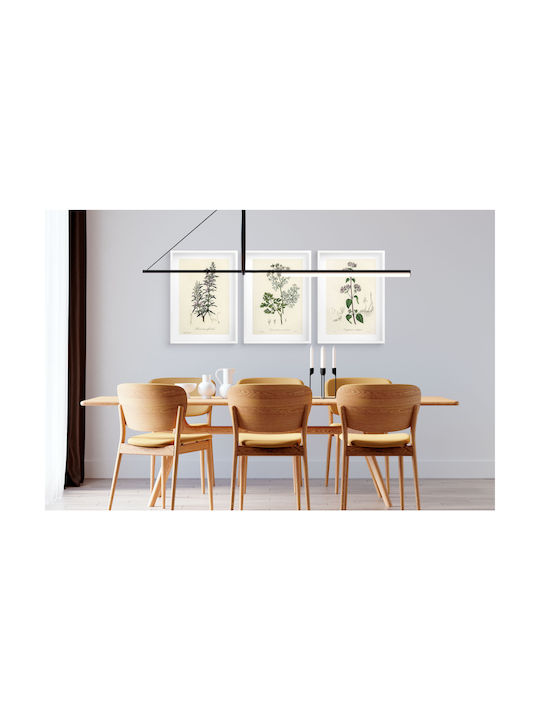Küchenwandposter Kräuterzweige Dekoratives Kräutergarten 3x 30x40