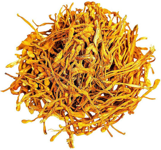 Ciuperci Cordyceps Uscate Spice Shop 200g