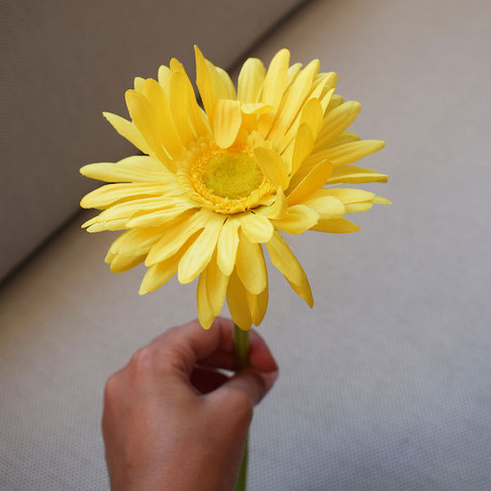 Artificial Flower Yellow Koart