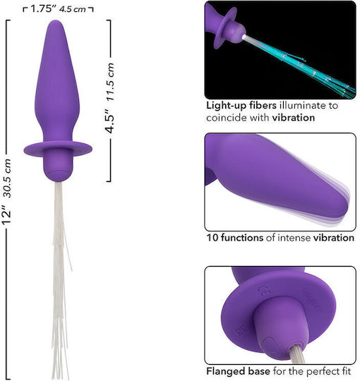 Calexotics Πρωκτική Σφήνα με Δόνηση Μωβ