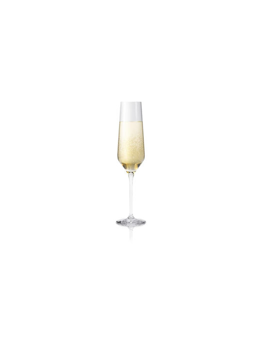 Eva Solo Set of Glasses Champagne made of Glass Stemmed 260ml 6pcs