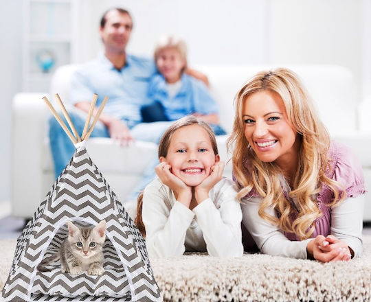 Indoor Tent Dogs Cats Rabbits Gray White 50x40x60cm