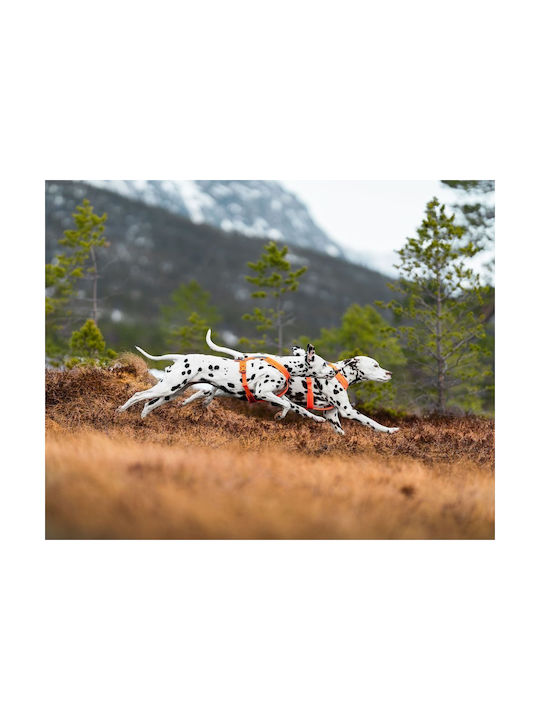 Non-stop dogwear Σαμαράκι Σκύλου Line Harness 5.0, No6 Μαύρο 56-87cm linebk6